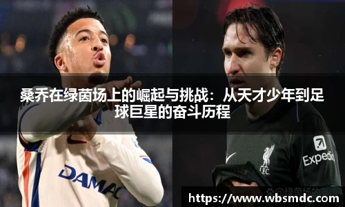 桑乔在绿茵场上的崛起与挑战：从天才少年到足球巨星的奋斗历程